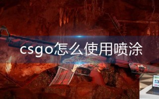 csgo怎么使用喷涂