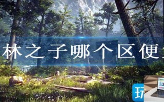 森林之子哪个区便宜