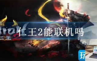 仁王2能联机吗
