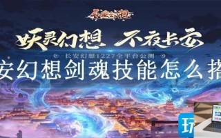 长安幻想剑魂技能怎么搭配