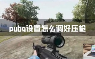 pubg设置怎么调好压枪