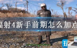 辐射4新手前期怎么加点
