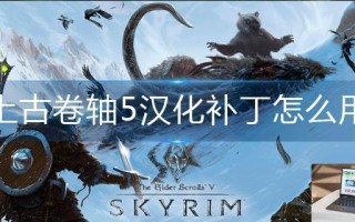 上古卷轴5汉化补丁怎么用