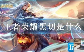 王者荣耀黑切是什么
