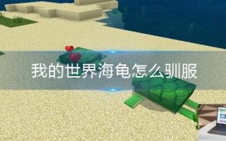 我的世界海龟怎么驯服