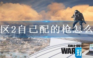 战区2自己配的枪怎么玩 战区2自己配的枪怎么玩