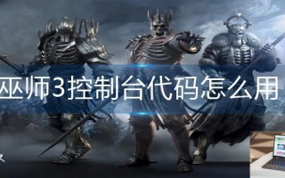 巫师3控制台代码怎么用