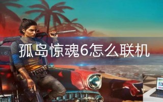 孤岛惊魂6怎么联机