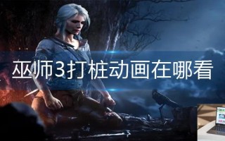 巫师3打桩动画在哪看