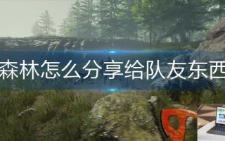 森林怎么分享给队友东西