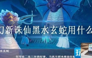 梦幻新诛仙黑水玄蛇用什么阵
