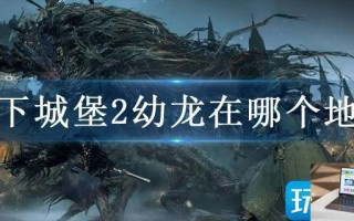 地下城堡2幼龙在哪个地方