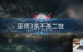 巫师3杀不杀二世