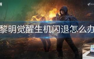 黎明觉醒生机闪退怎么办