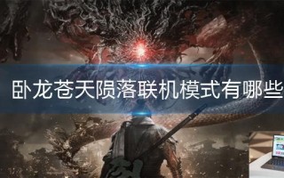卧龙苍天陨落联机模式有哪些
