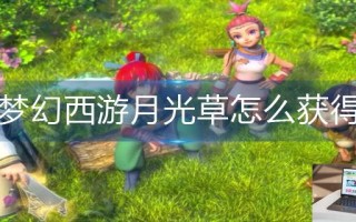 梦幻西游月光草怎么获得