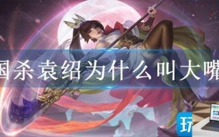 三国杀袁绍为什么叫大嘴哥