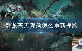 卧龙苍天陨落怎么重新捏脸