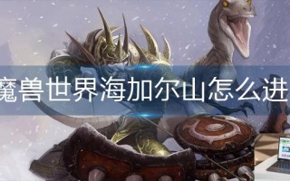 魔兽世界海加尔山怎么进