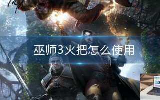 巫师3火把怎么使用