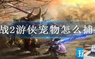 激战2游侠宠物怎么捕捉