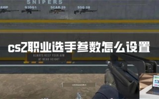 cs2职业选手参数怎么设置