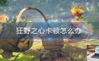 狂野之心卡顿怎么办 狂野之心卡顿怎么办