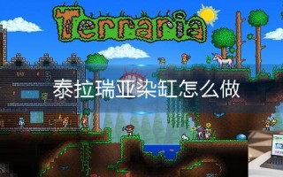 泰拉瑞亚染缸怎么做 泰拉瑞亚染缸怎么做