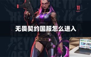 无畏契约国服怎么进入