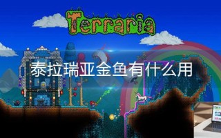 泰拉瑞亚金鱼有什么用