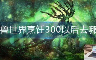 魔兽世界烹饪300以后去哪学