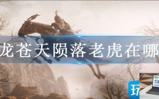 卧龙苍天陨落老虎在哪里