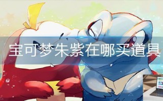 宝可梦朱紫在哪买道具
