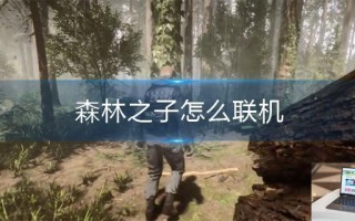 森林之子怎么联机