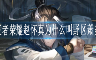王者荣耀赵怀真为什么叫野区萧炎