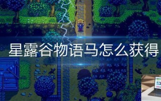 星露谷物语马怎么获得