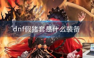 dnf假猪套是什么装备