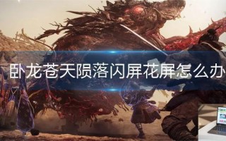 卧龙苍天陨落闪屏花屏怎么办