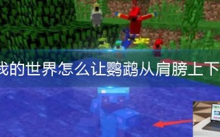 我的世界怎么让鹦鹉从肩膀上下来