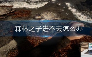 森林之子进不去怎么办