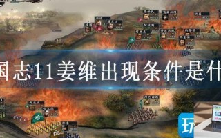 三国志11姜维出现条件是什么