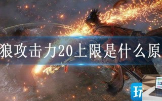 只狼攻击力20上限是什么原因
