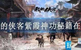 我的侠客紫霞神功秘籍在哪