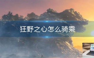 狂野之心怎么骑乘