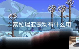 泰拉瑞亚宠物有什么用
