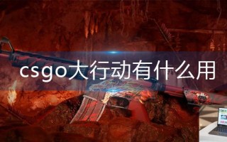 csgo大行动有什么用