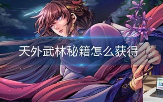 天外武林秘籍怎么获得