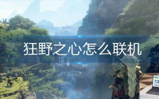 狂野之心怎么联机