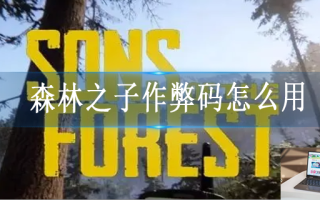 森林之子作弊码怎么输入