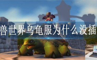 魔兽世界乌龟服为什么没插旗